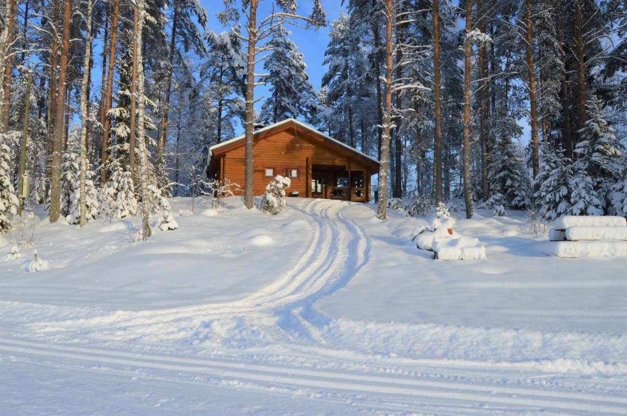 Rinnepelto Holiday Cottages Tahkovuori Exterior foto